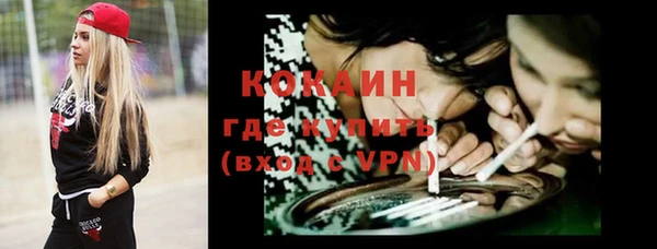 МДПВ Гусев