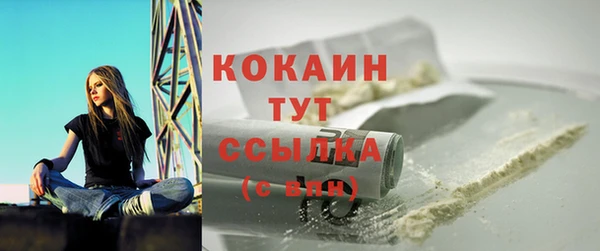 МДПВ Гусев