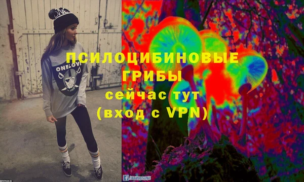 МДПВ Гусев