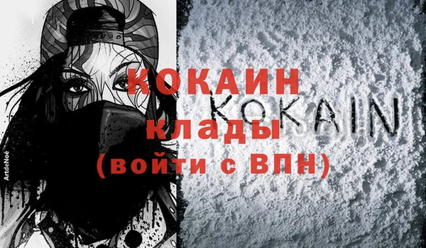 МДПВ Гусев