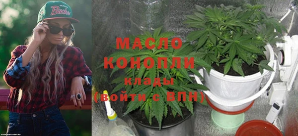 мяу мяу мука Гусь-Хрустальный