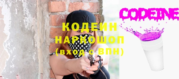 мяу мяу мука Гусь-Хрустальный