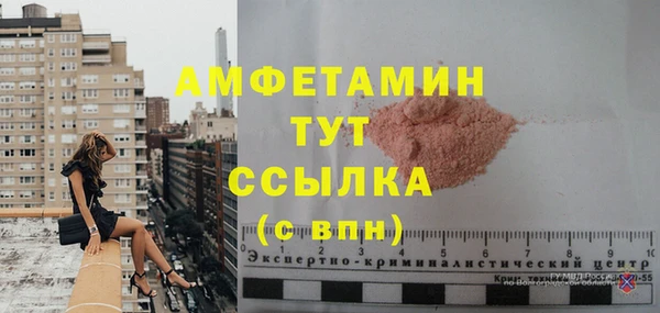 МДПВ Гусев