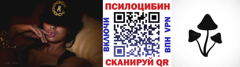 Купить  Приволжск  Галлюциногенные грибы мицелий 